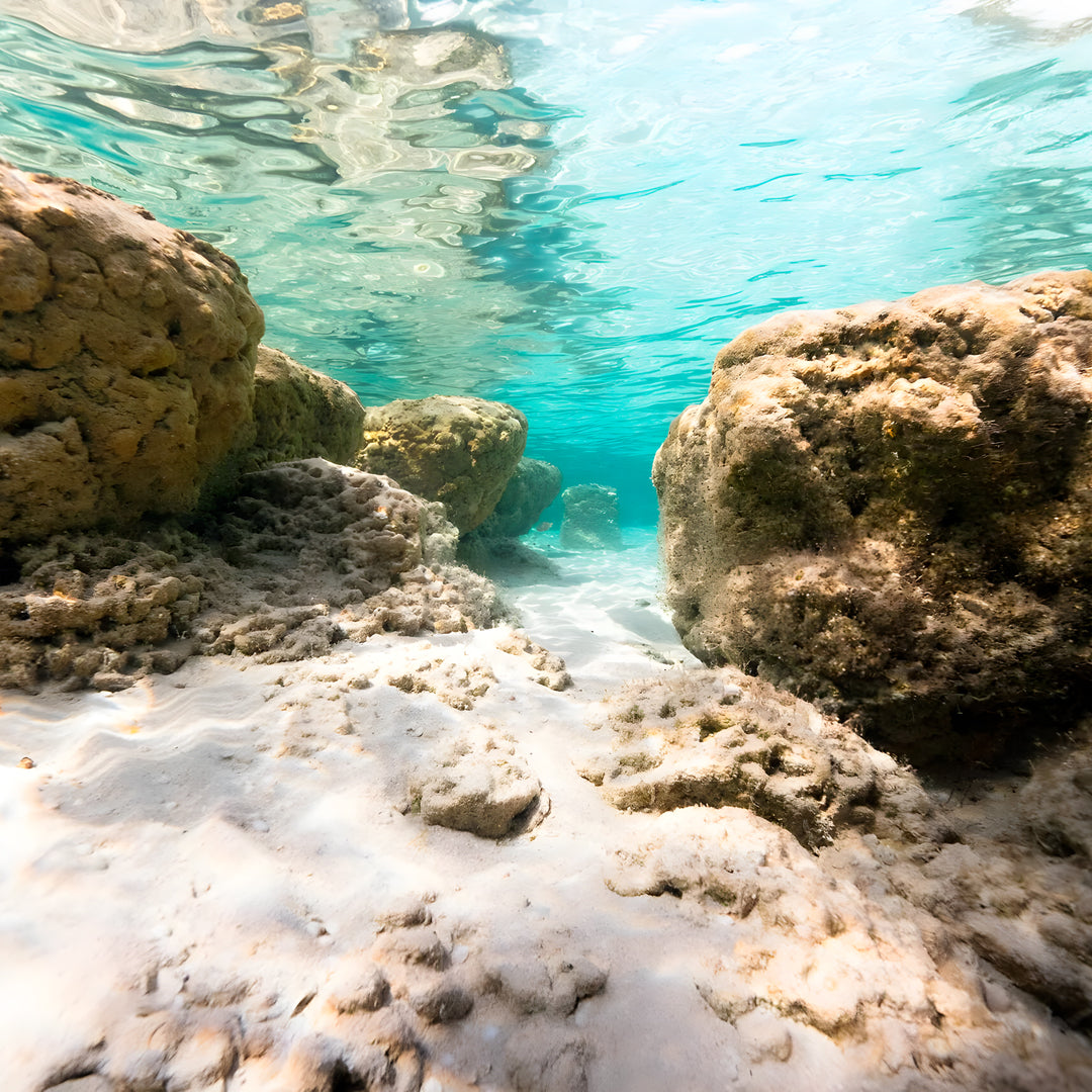 Shark Bay Scuba Diving Fun Dive
