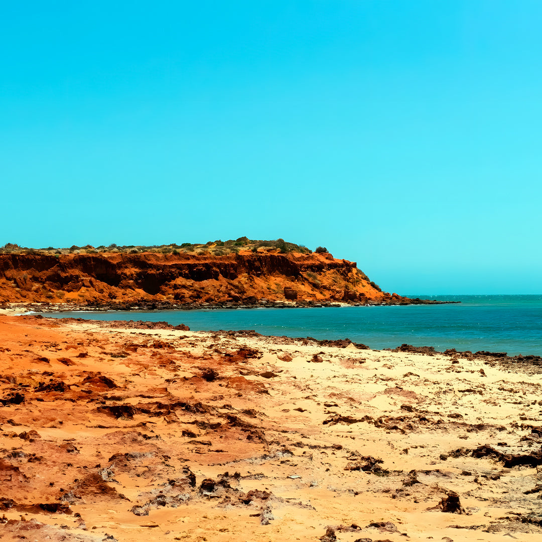 Shark Bay PADI Rescue Diver Course