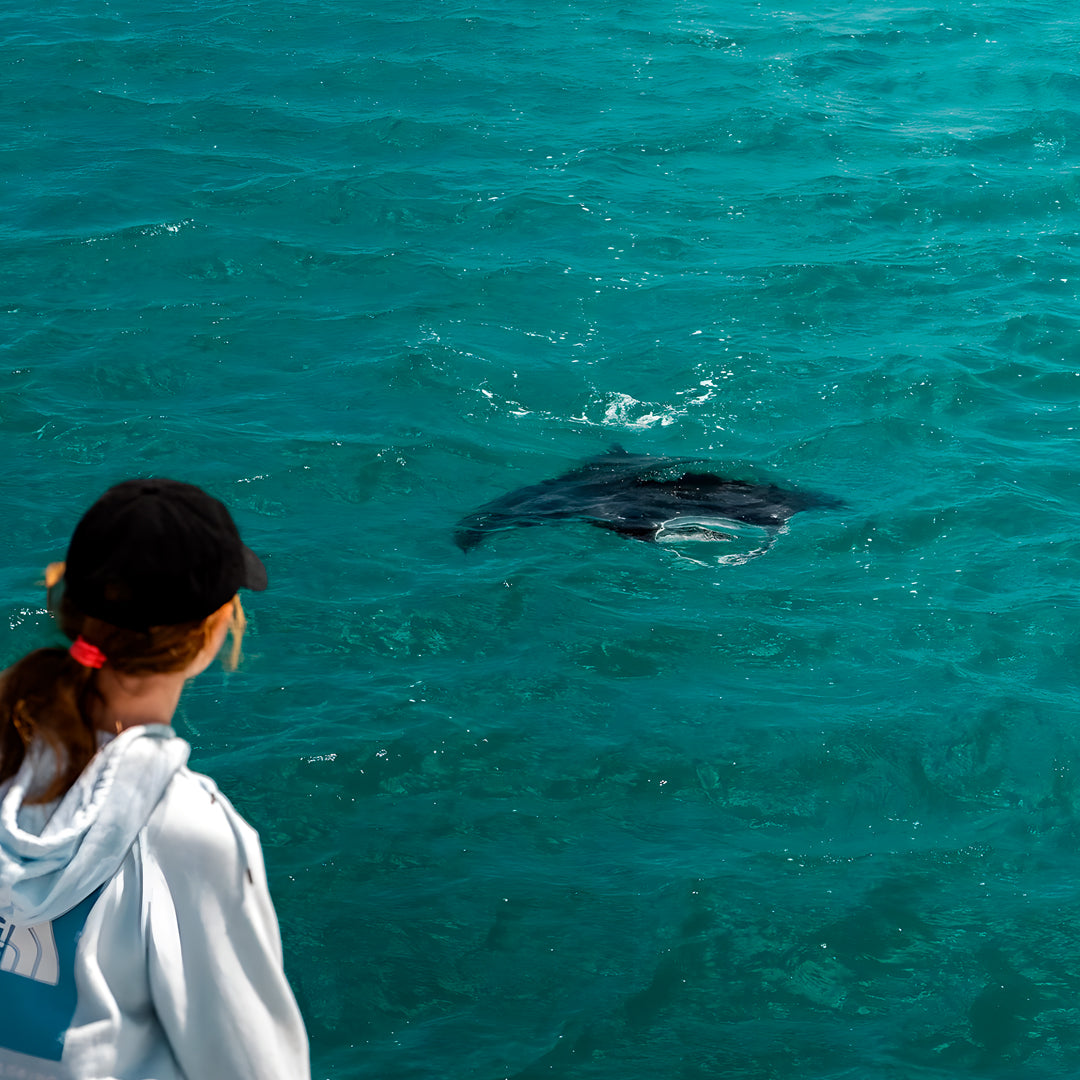 Shark Bay PADI Rescue Diver Course
