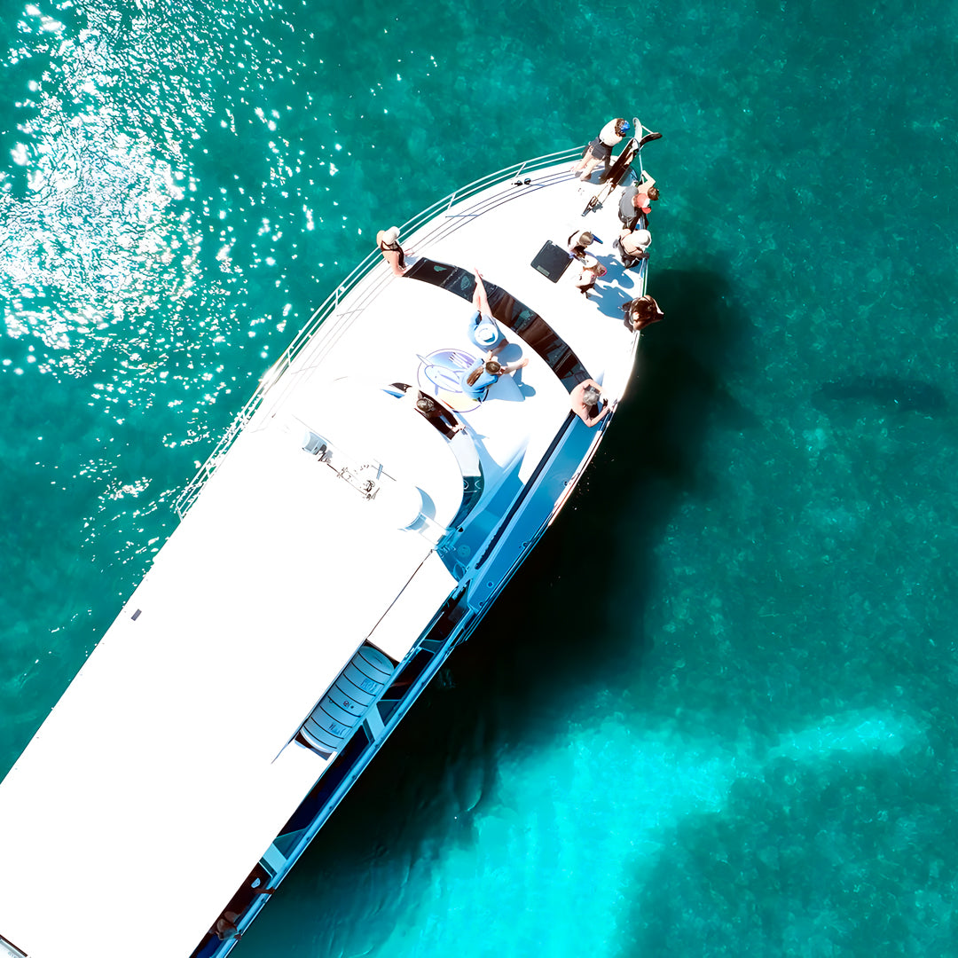 Shark Bay PADI Open Water Diver Course