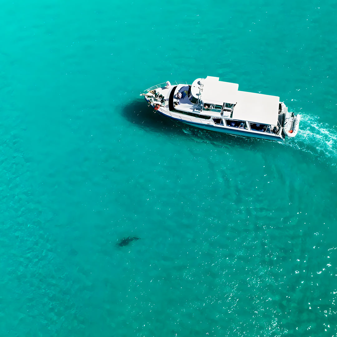 Shark Bay PADI Open Water Diver Course