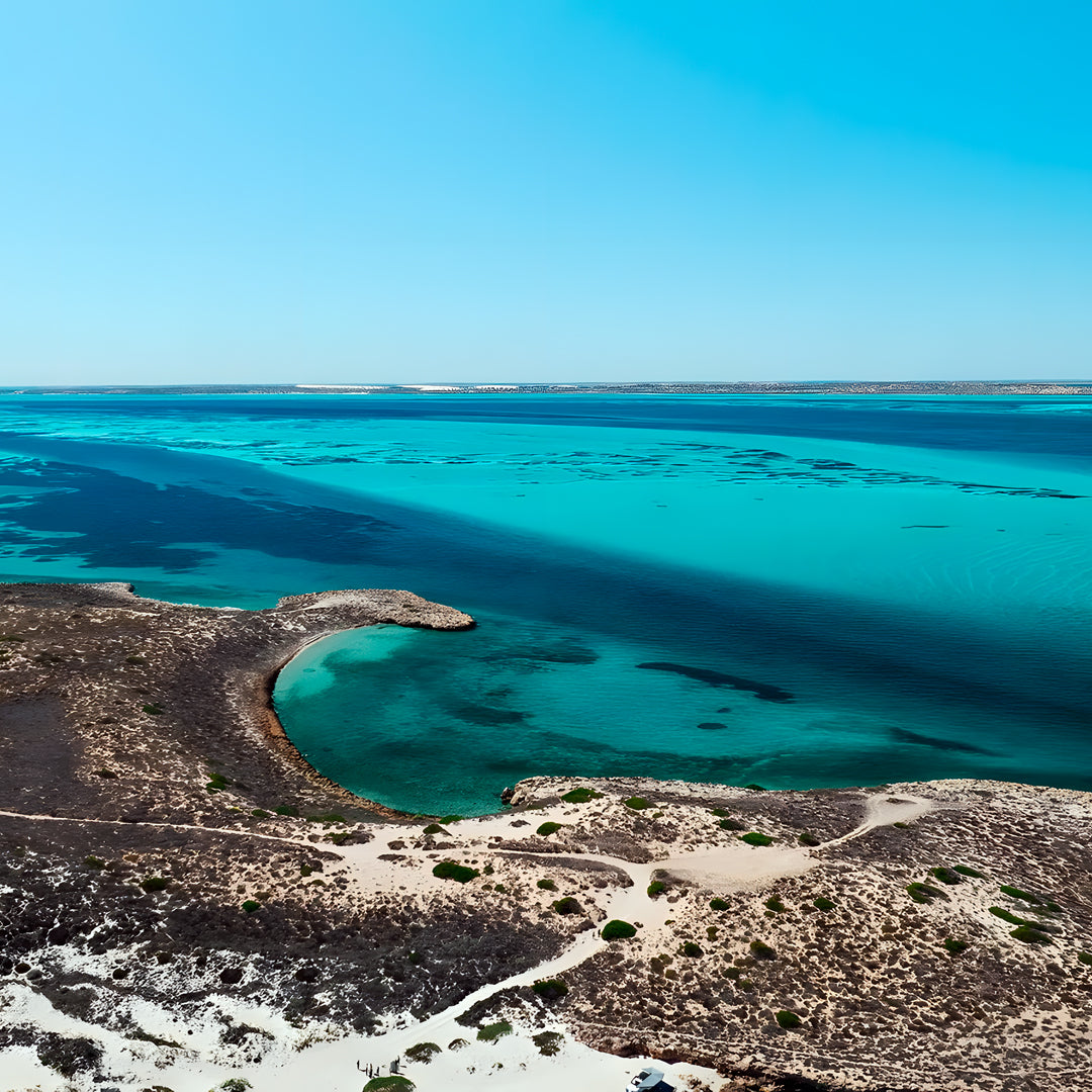 Shark Bay PADI Open Water Diver Course