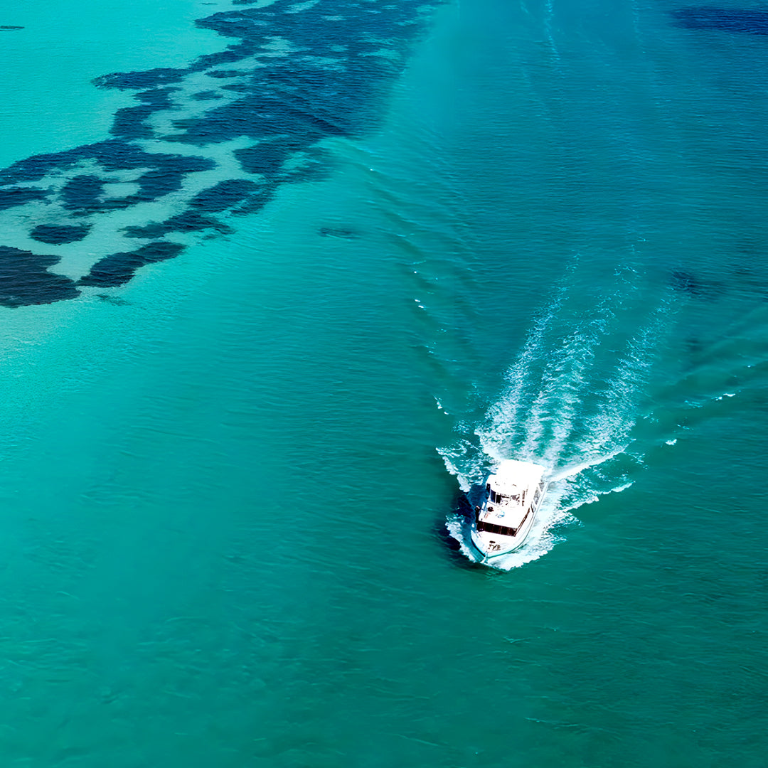 Shark Bay PADI Open Water Diver Course