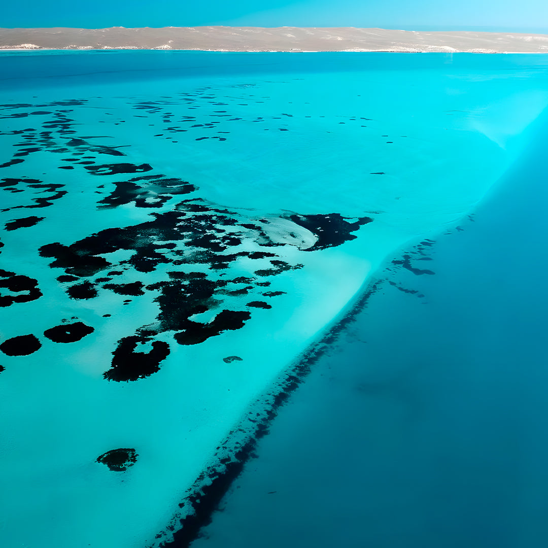 Shark Bay PADI Open Water Diver Course