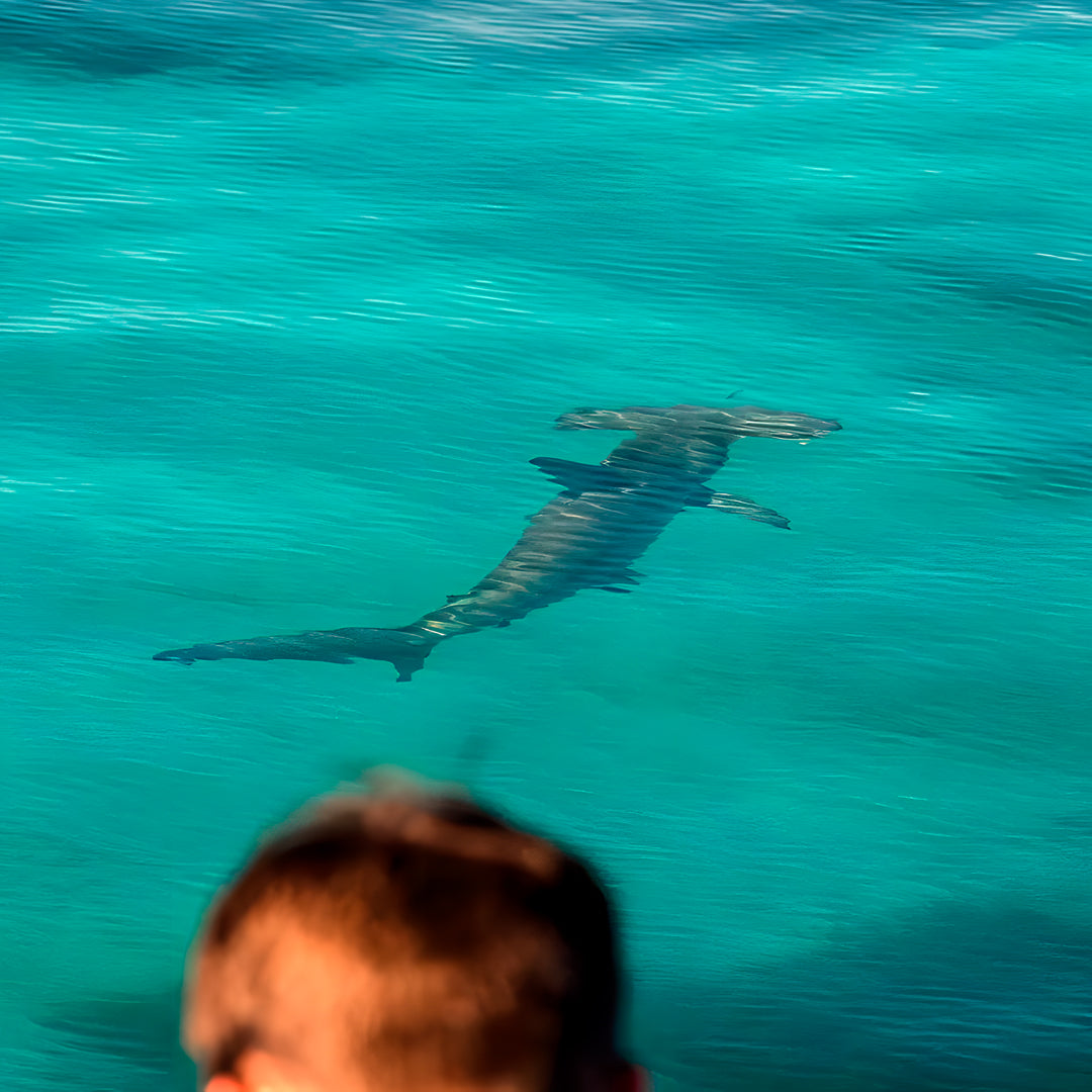 Shark Bay PADI Advanced Open Water Diver Course