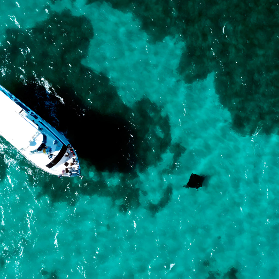 Shark Bay PADI Advanced Open Water Diver Course