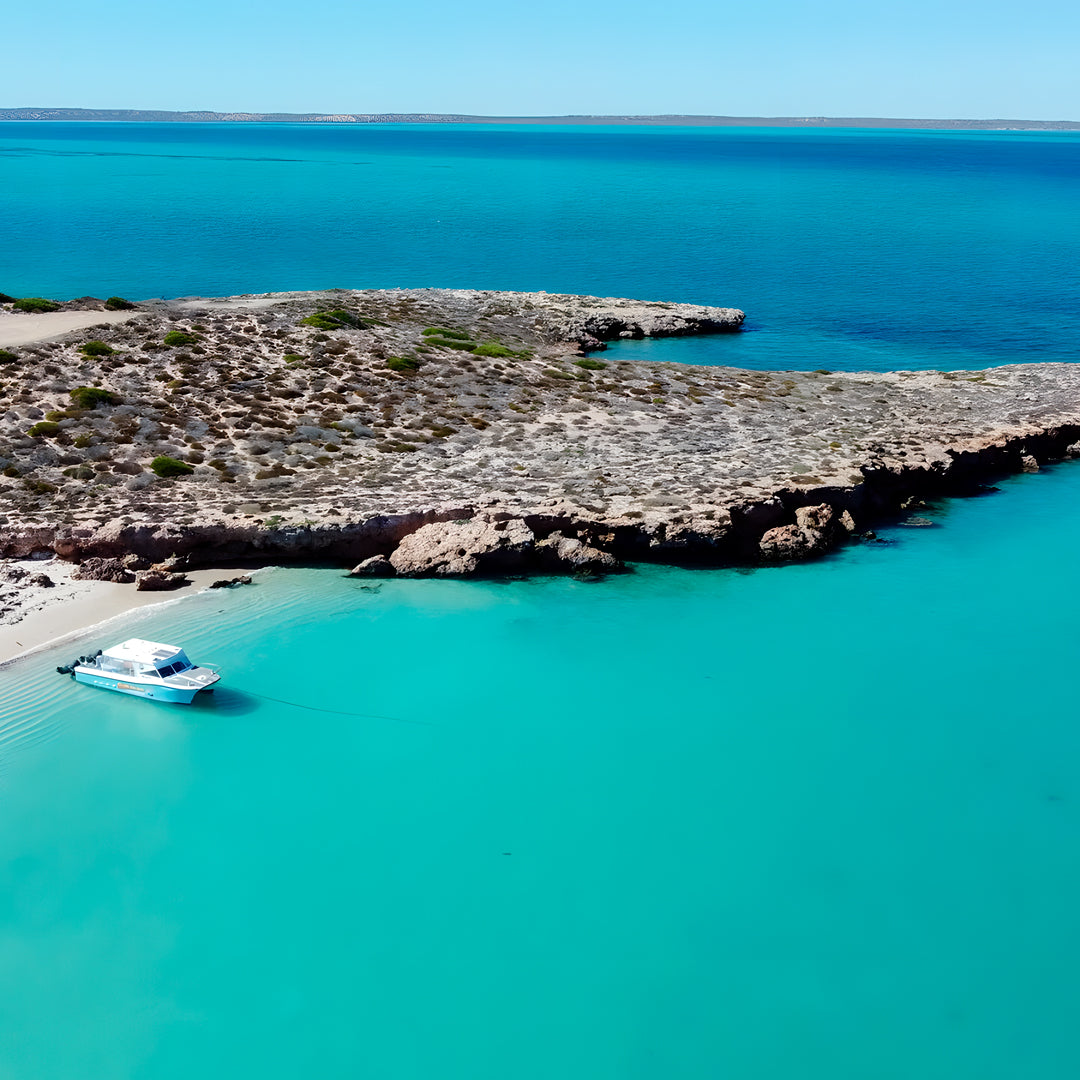 Shark Bay PADI Advanced Open Water Diver Course