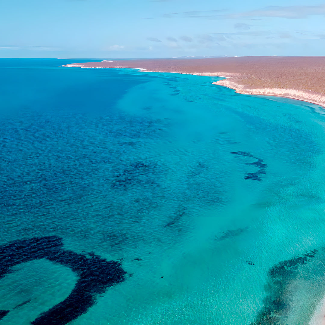 Shark Bay PADI Advanced Open Water Diver Course