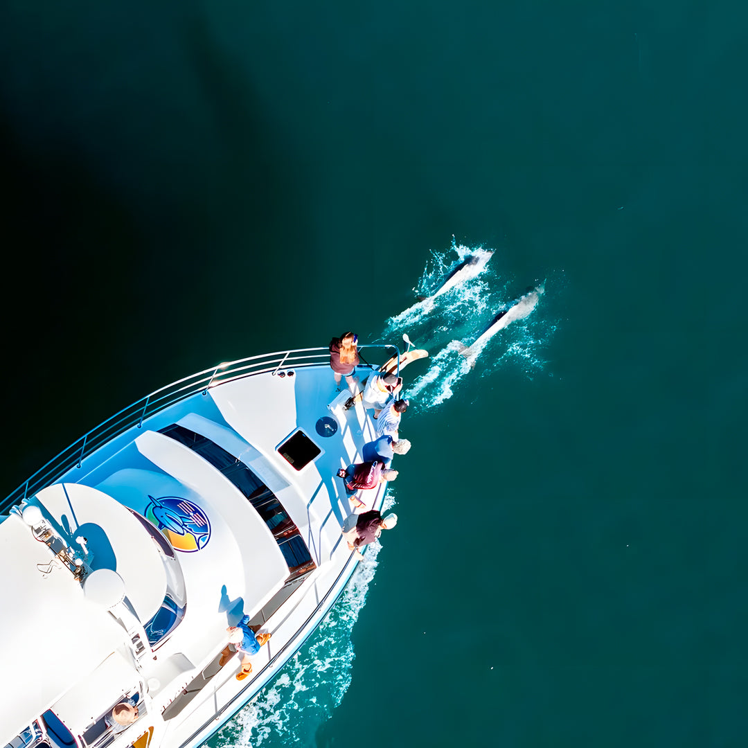 Shark Bay PADI Rescue Diver Course