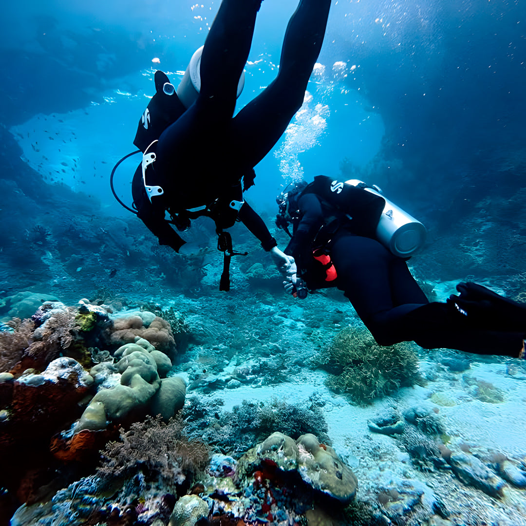 Komodo Islands Manta Ray Liveaboard