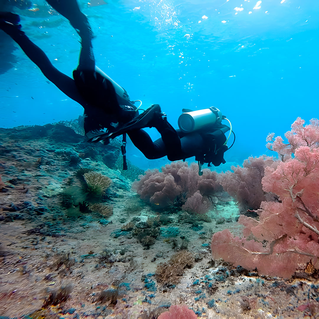 Raja Ampat Underwater Adventure Liveaboard