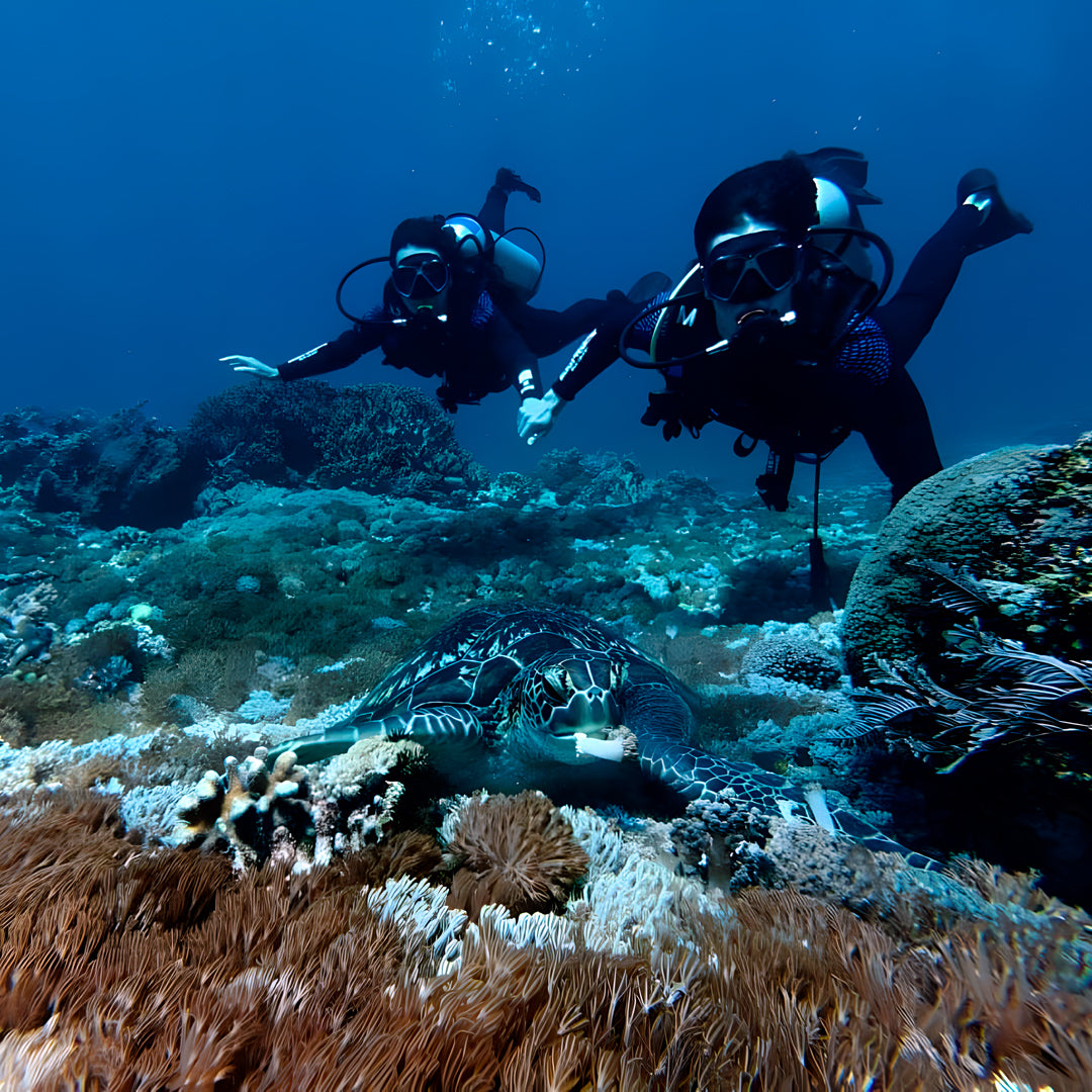 Komodo Islands Manta Ray Liveaboard