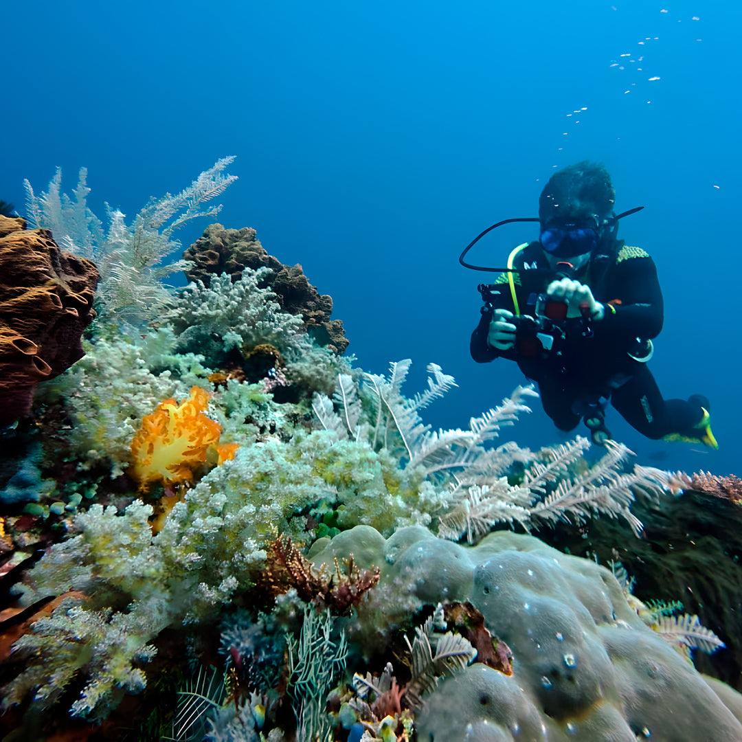 Raja Ampat Underwater Adventure Liveaboard