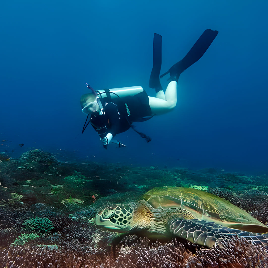 Komodo Islands Manta Ray Liveaboard