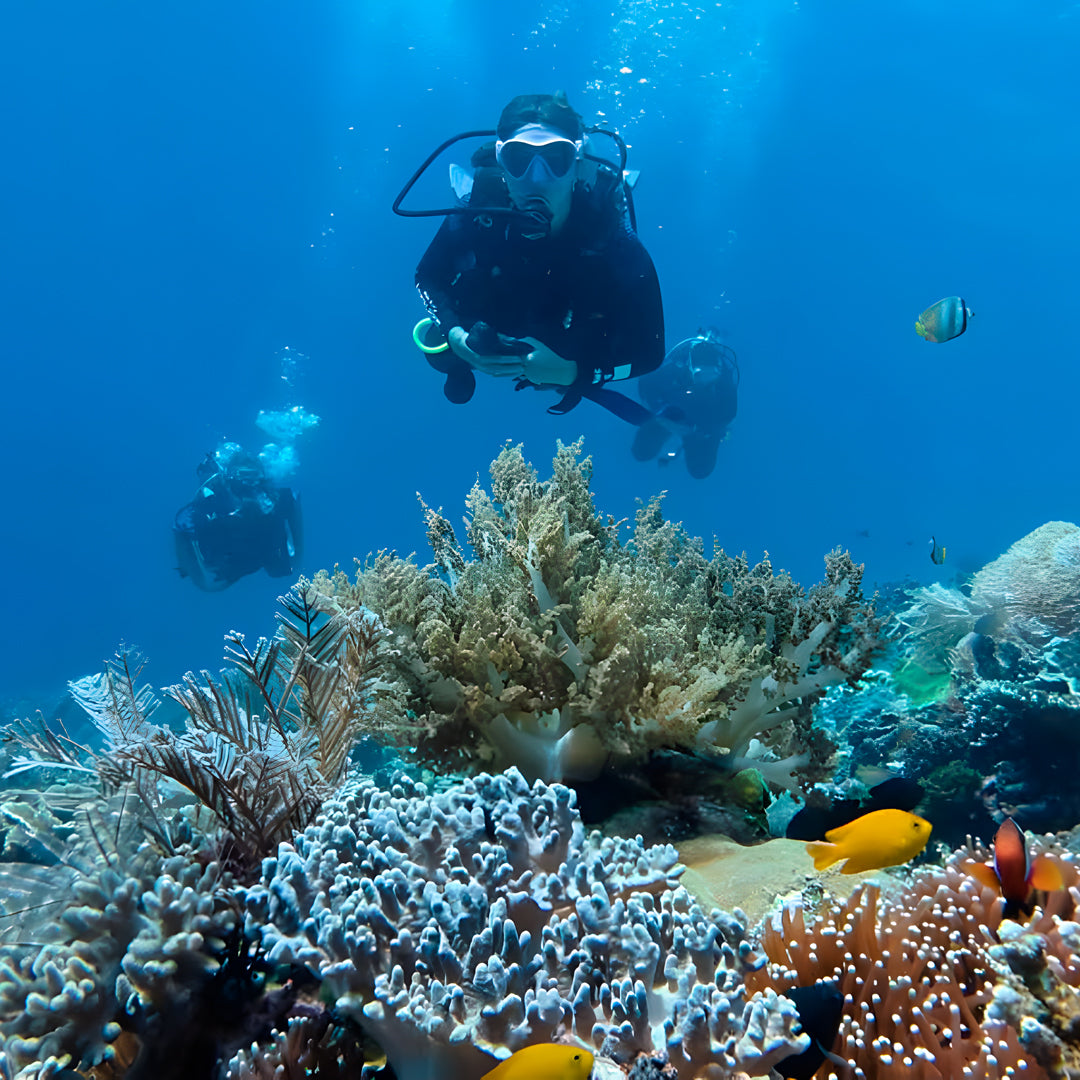 Komodo Islands Manta Ray Liveaboard