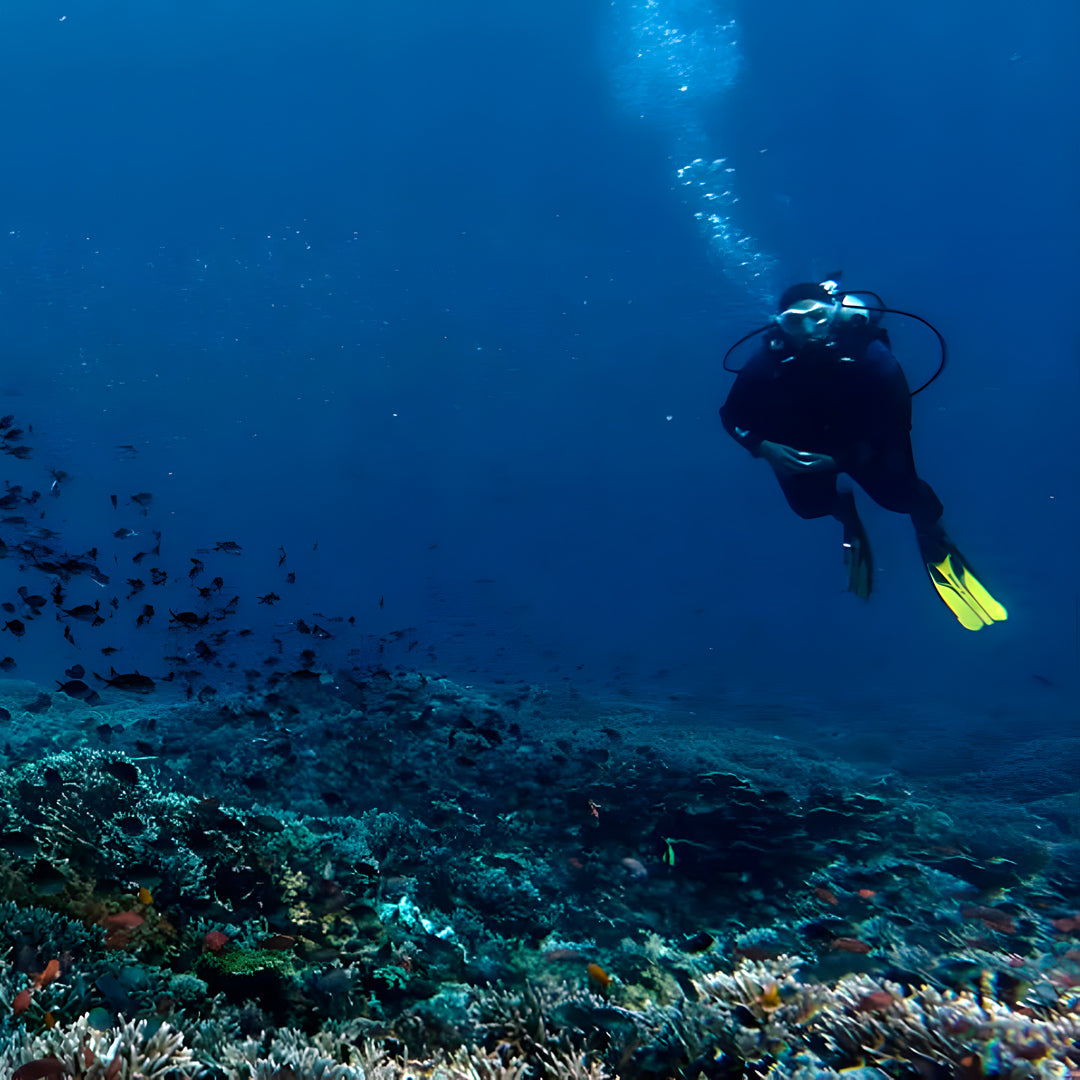 Komodo Islands Manta Ray Liveaboard