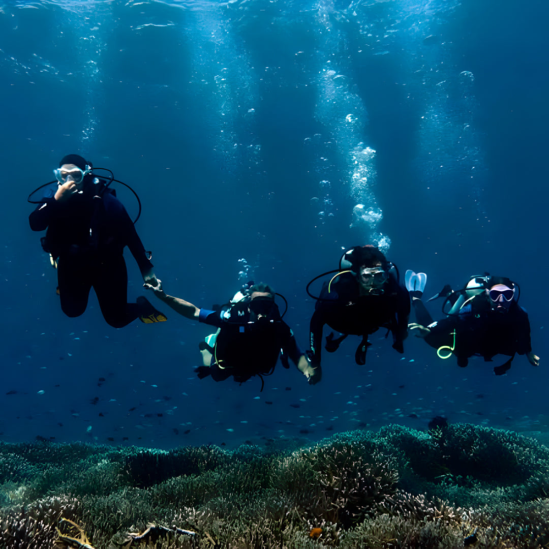 Komodo Islands Manta Ray Liveaboard