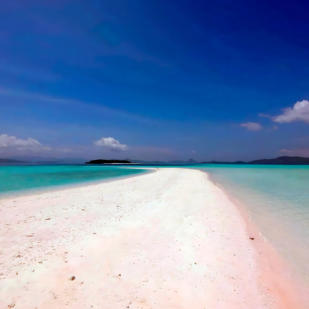 Komodo Islands Manta Ray Liveaboard