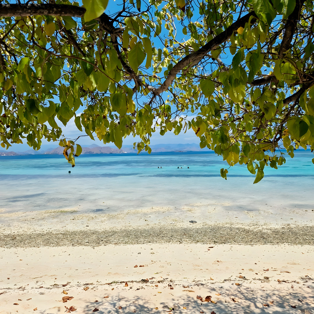 Komodo Islands Manta Ray Liveaboard