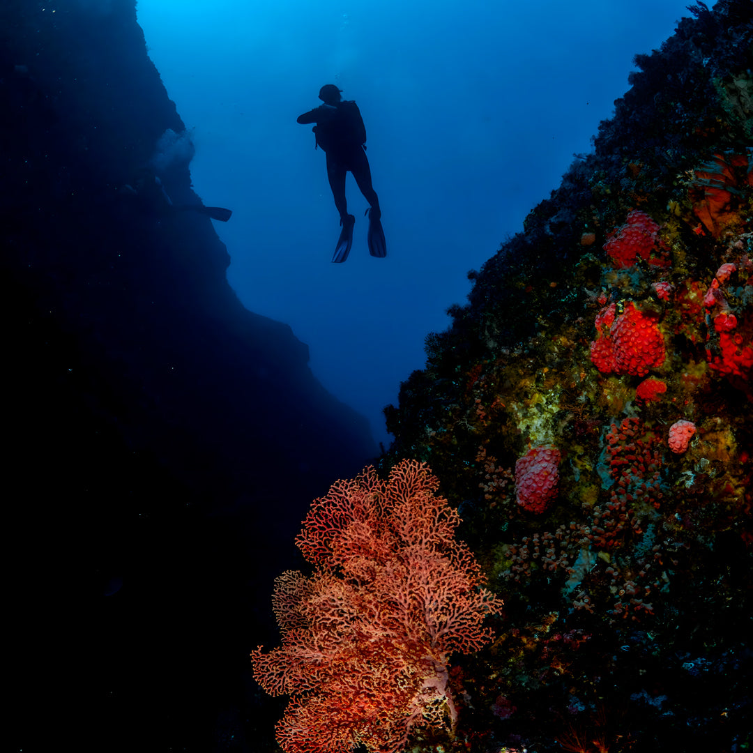 Komodo National Park Diving Liveaboard