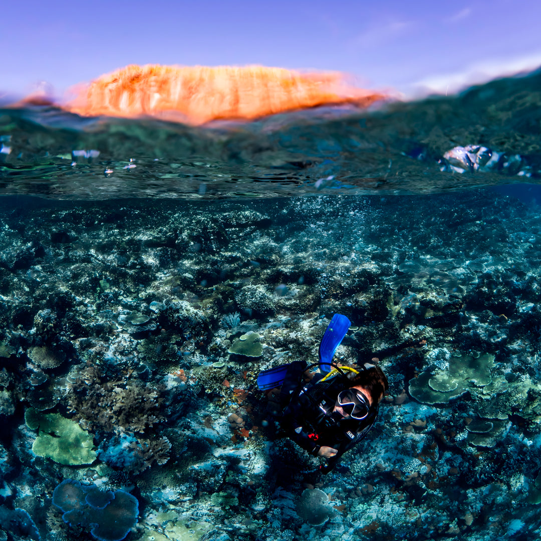 Komodo National Park Diving Liveaboard