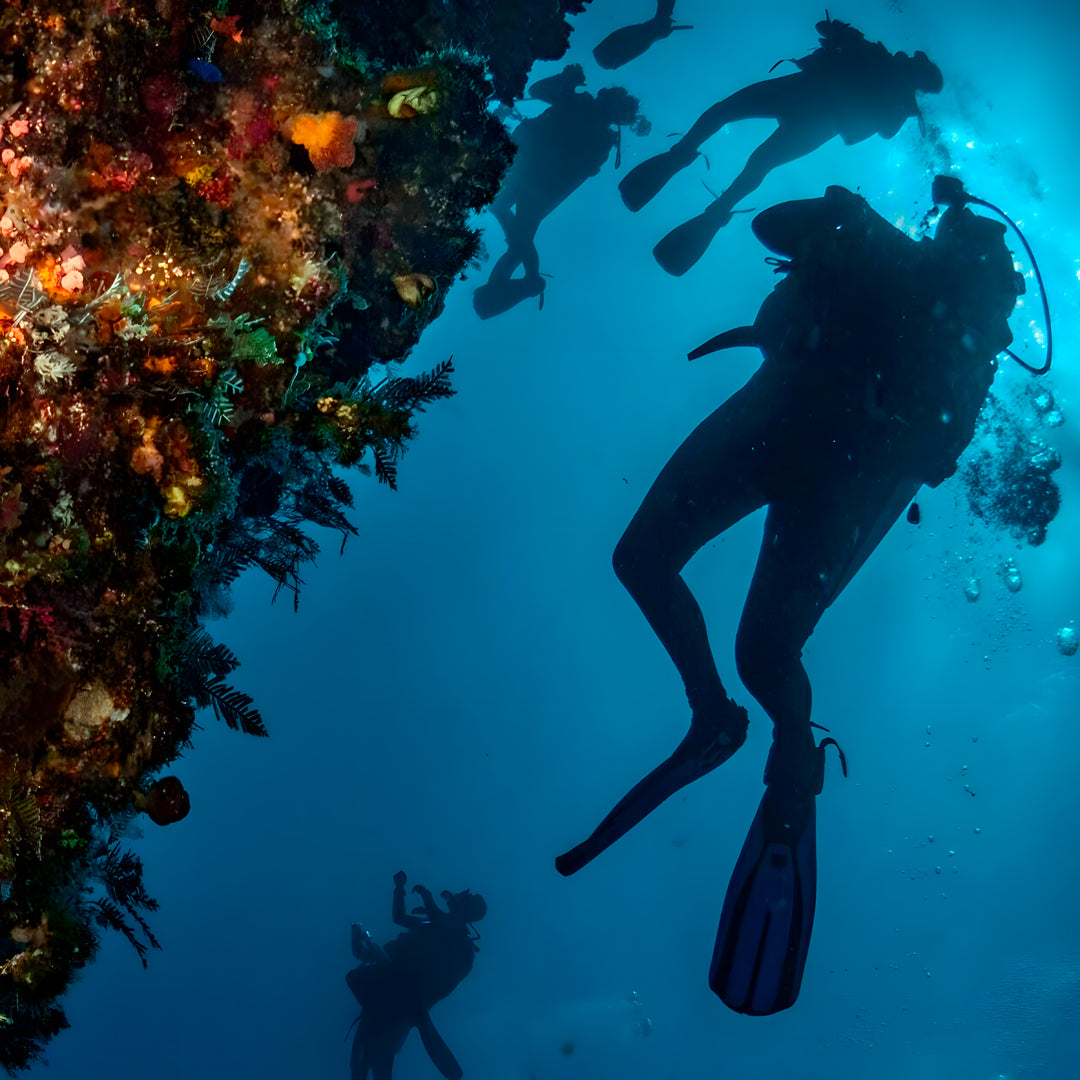 Komodo National Park Diving Liveaboard
