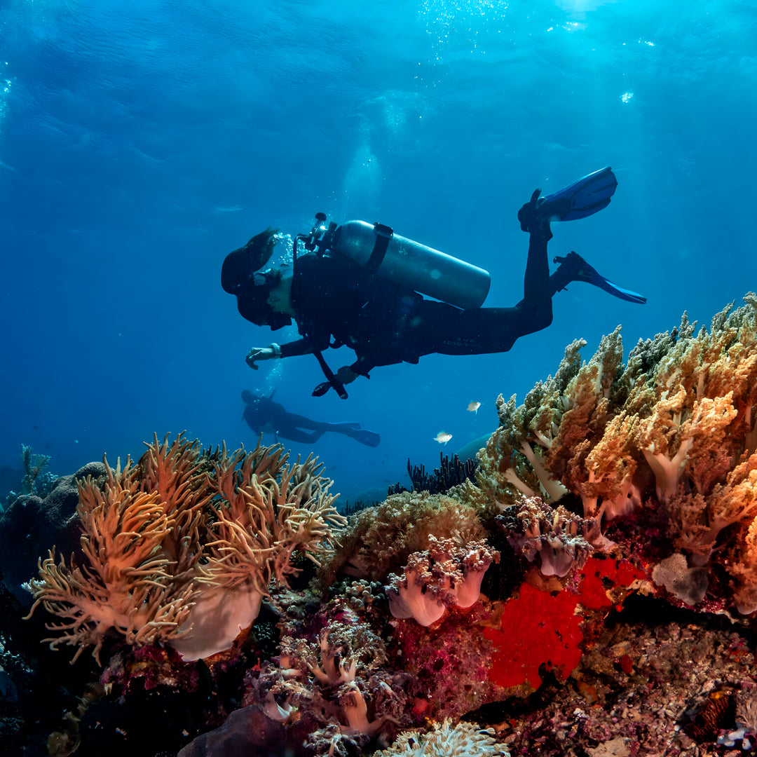 Komodo National Park Diving Liveaboard