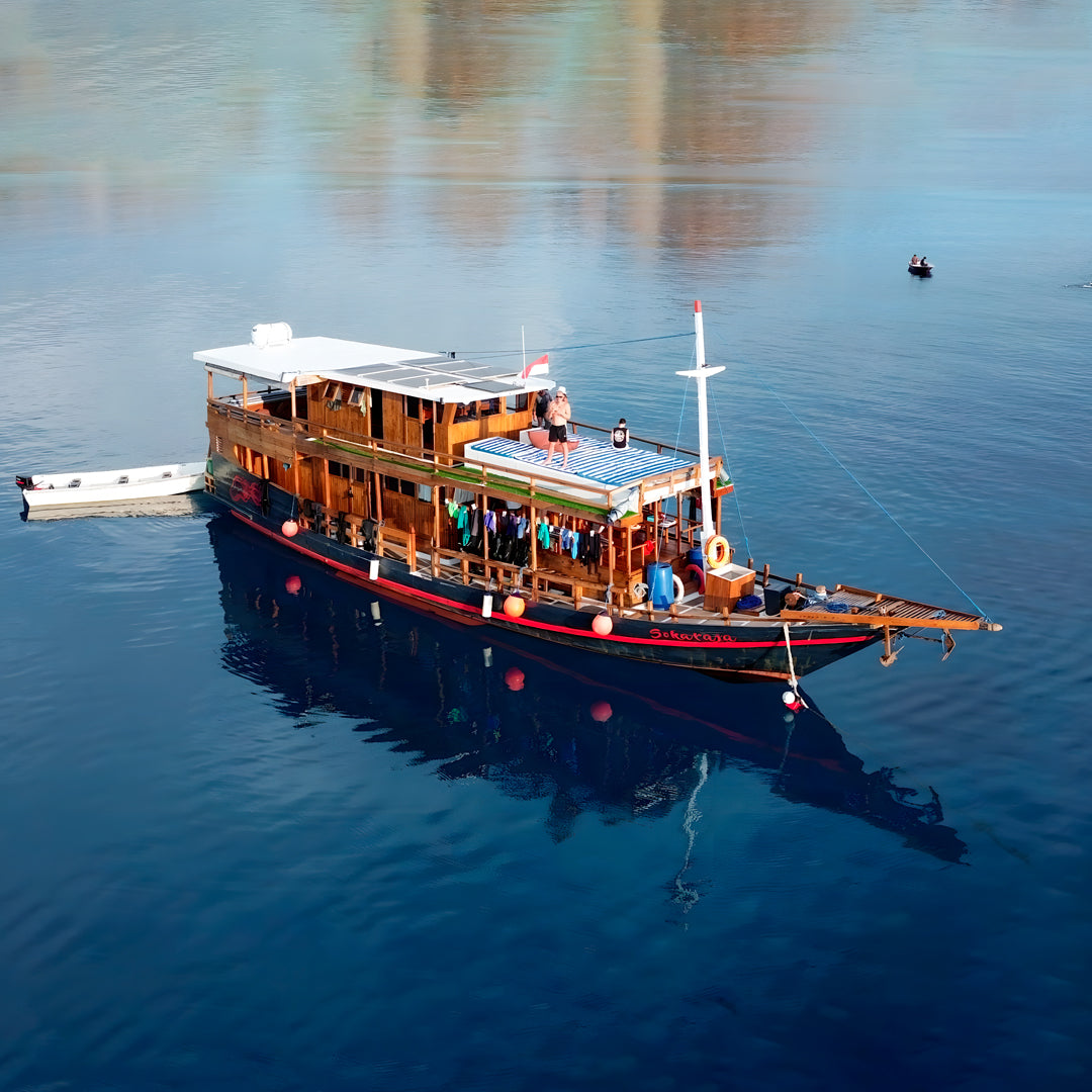 Komodo National Park Diving Liveaboard
