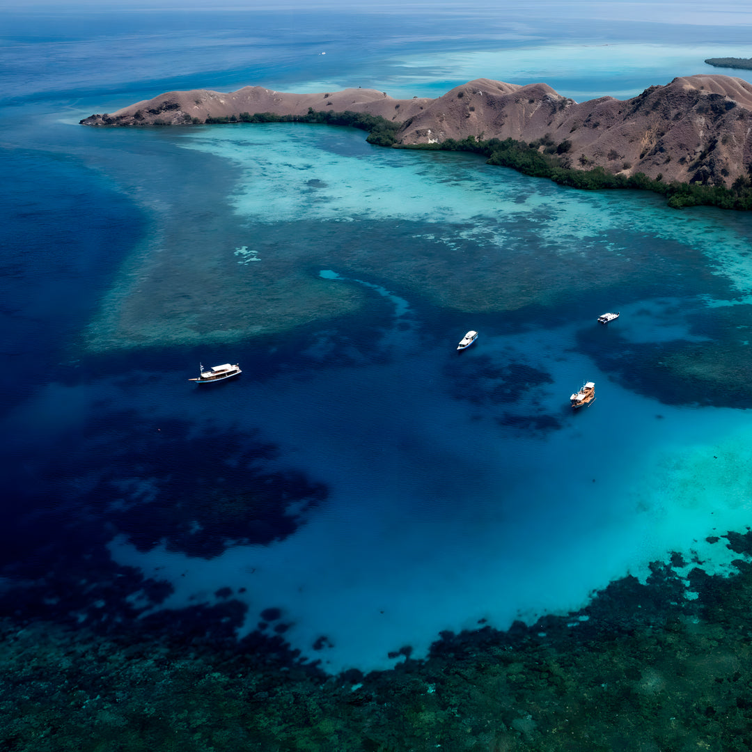 Komodo National Park Diving Liveaboard