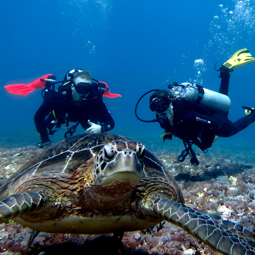 Central and North Part Komodo Liveaboard