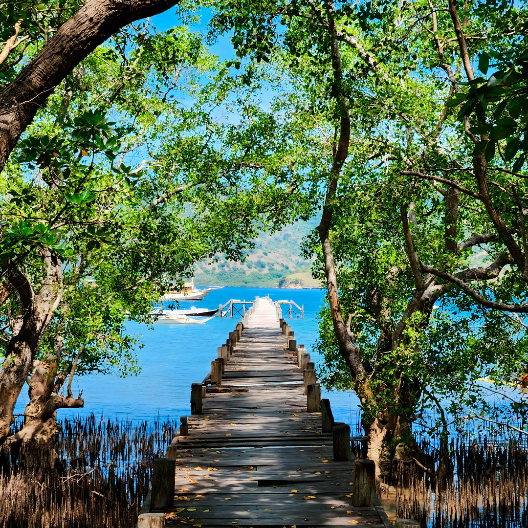 Central and North Part Komodo Liveaboard