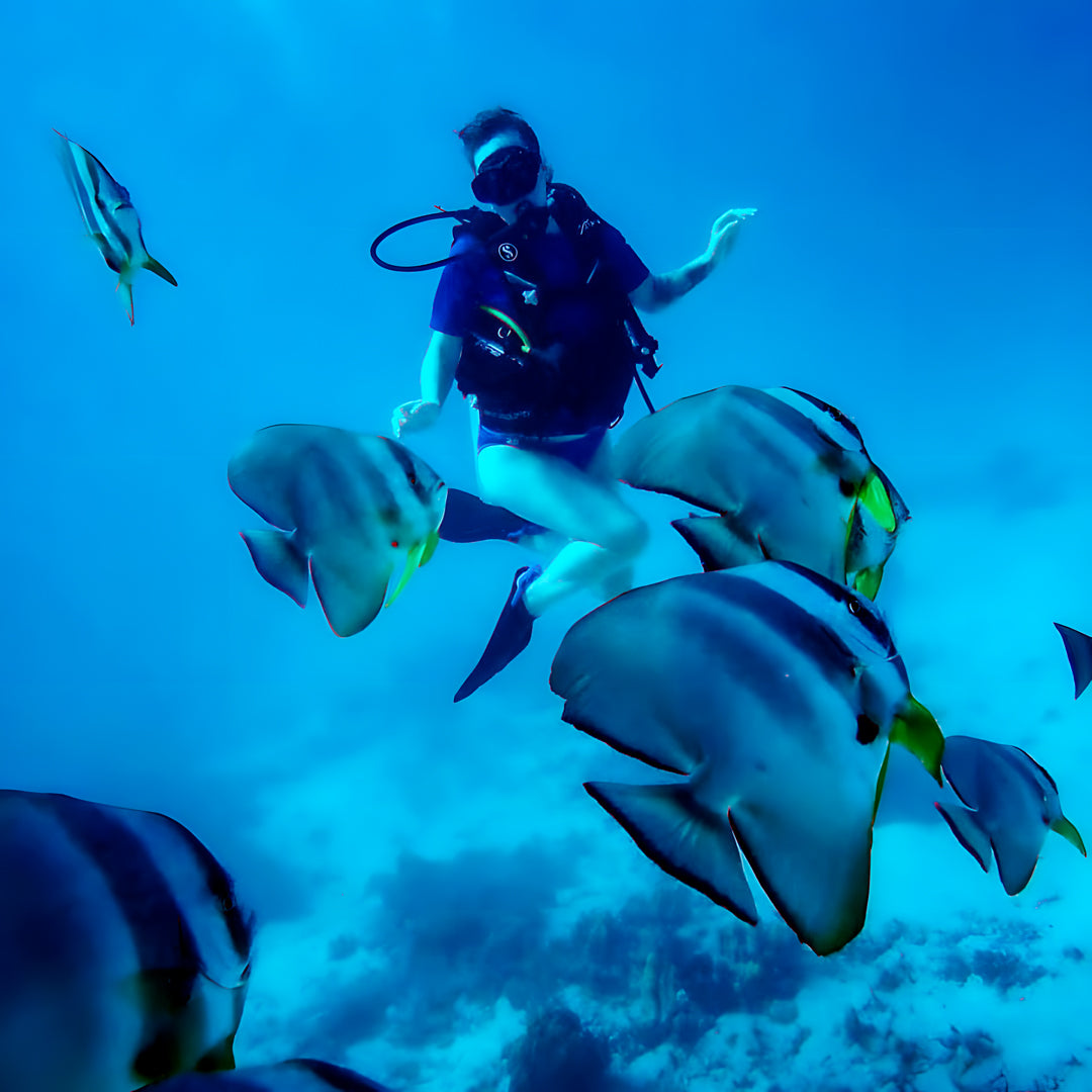 PADI Digital Underwater Imaging Specialty