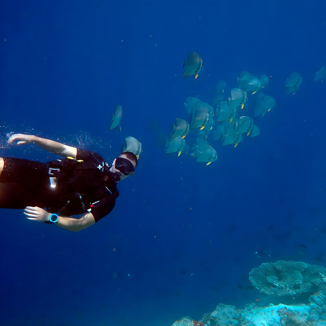 Basic Dhangethi Reef Exploration