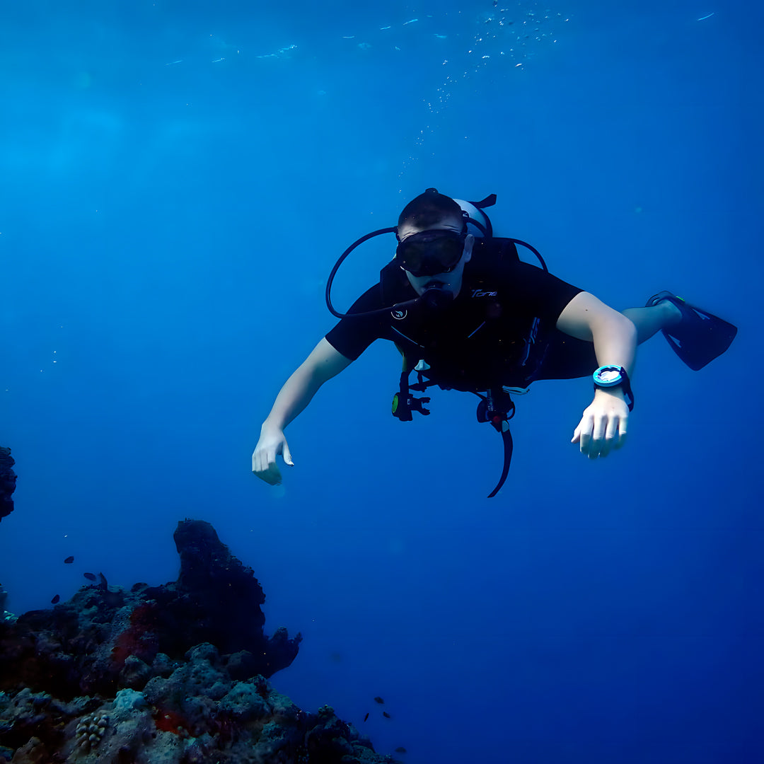 Whale Shark Explorer Scuba Diving Package in Maldives