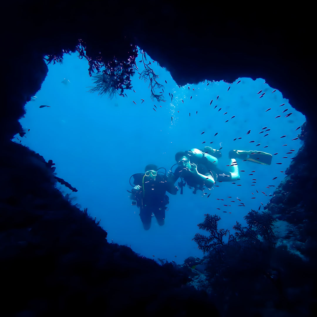 Basic Dhangethi Fun Dive
