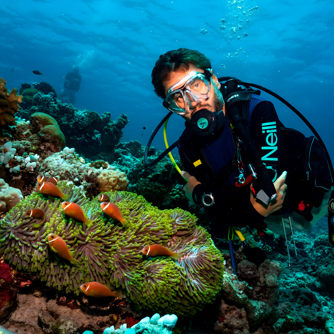 Whale Shark Explorer Scuba Diving Package in Maldives