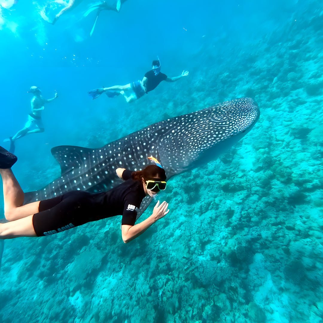 Discovery Dive in Fuvahmulah