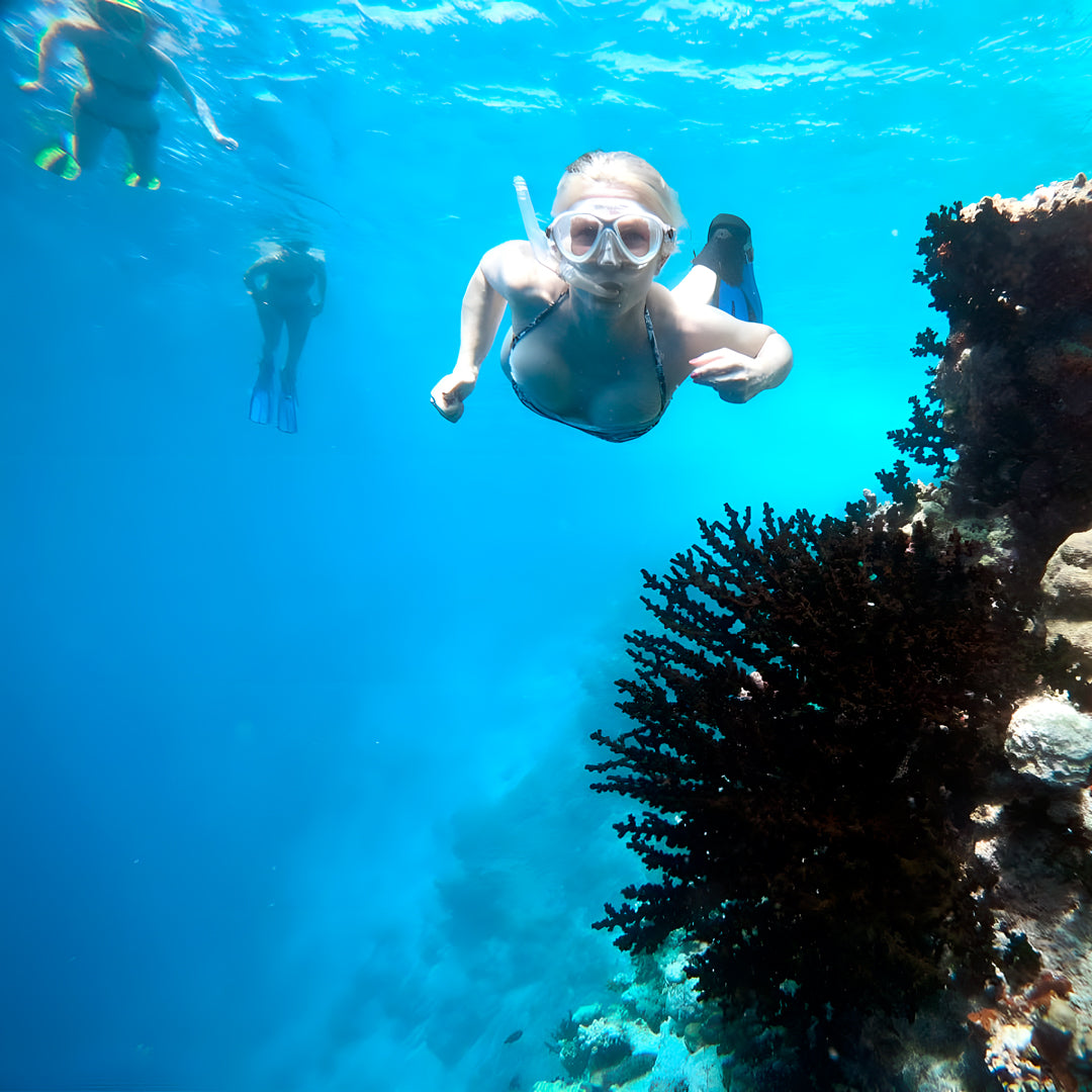 Basic Dhangethi Reef Exploration