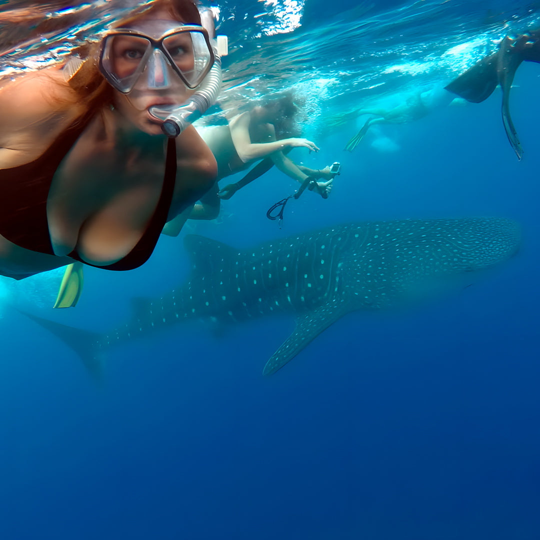 Basic Dhangethi Reef Exploration
