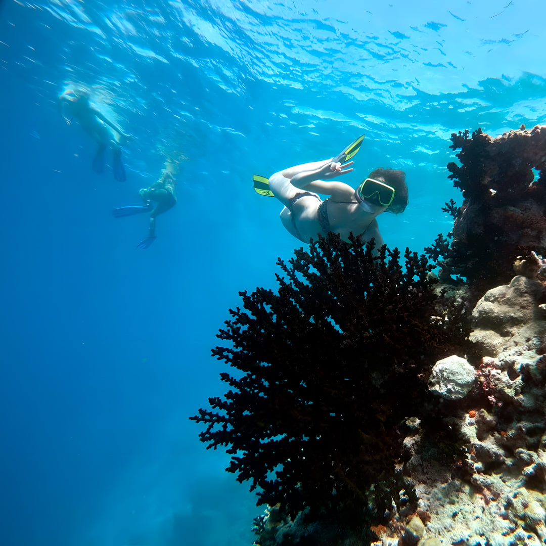 Basic Dhangethi Fun Dive