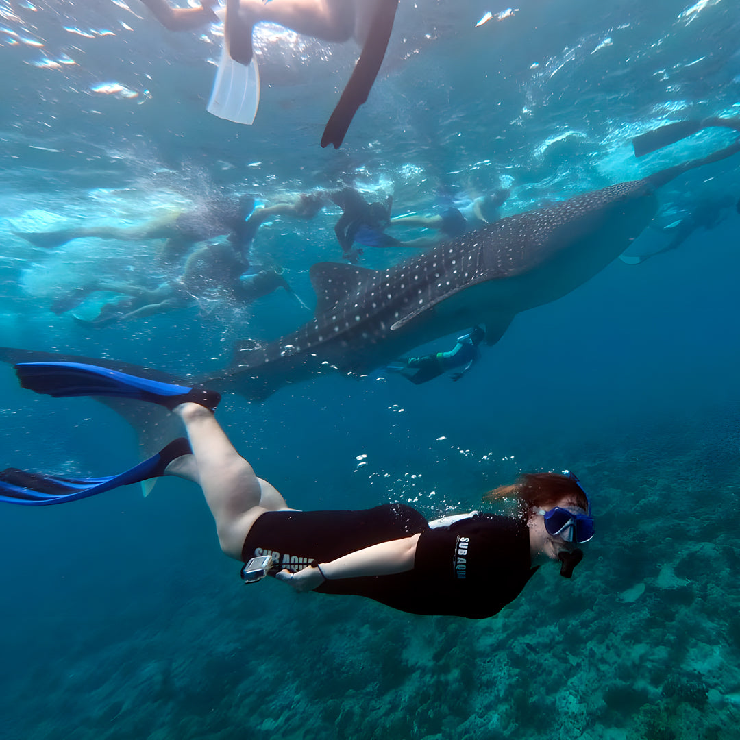 Basic Dhangethi Reef Exploration