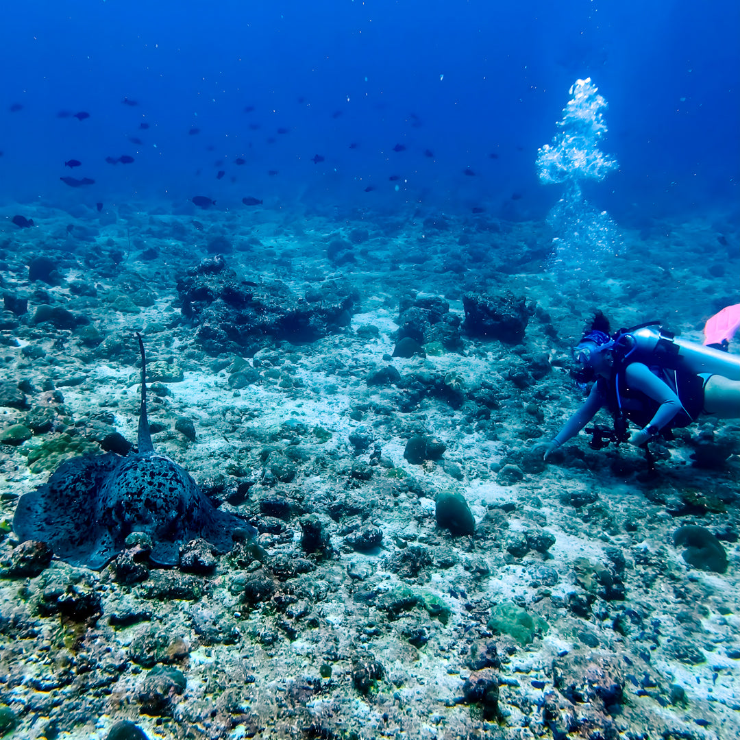 PADI Digital Underwater Imaging Specialty