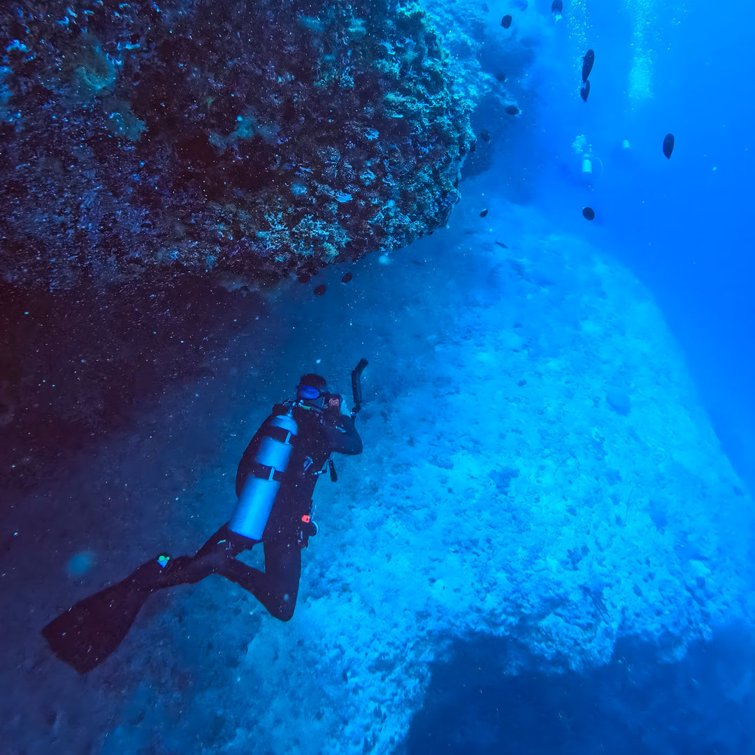 Whale Shark Explorer Scuba Diving Package in Maldives