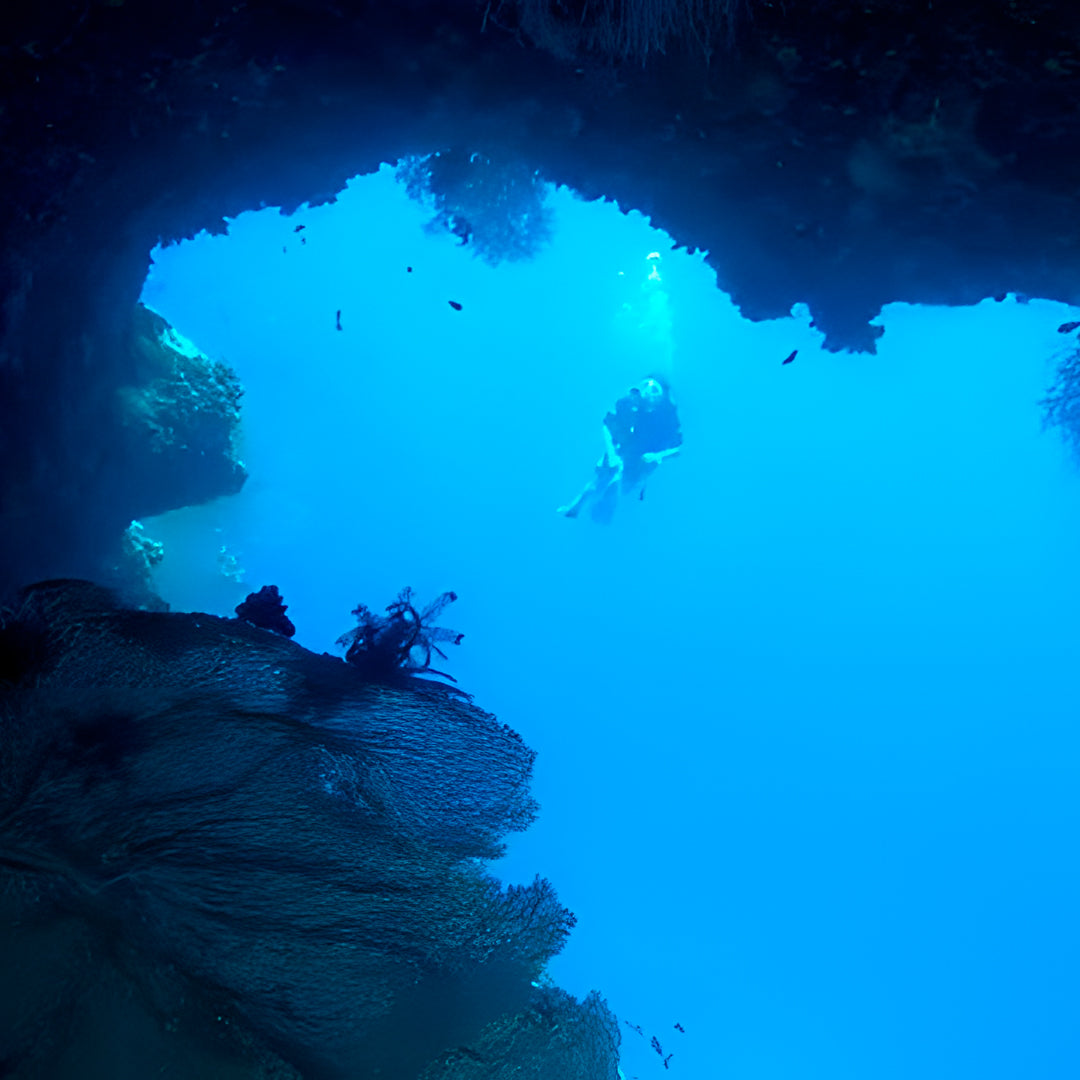 Basic Dhangethi Reef Exploration