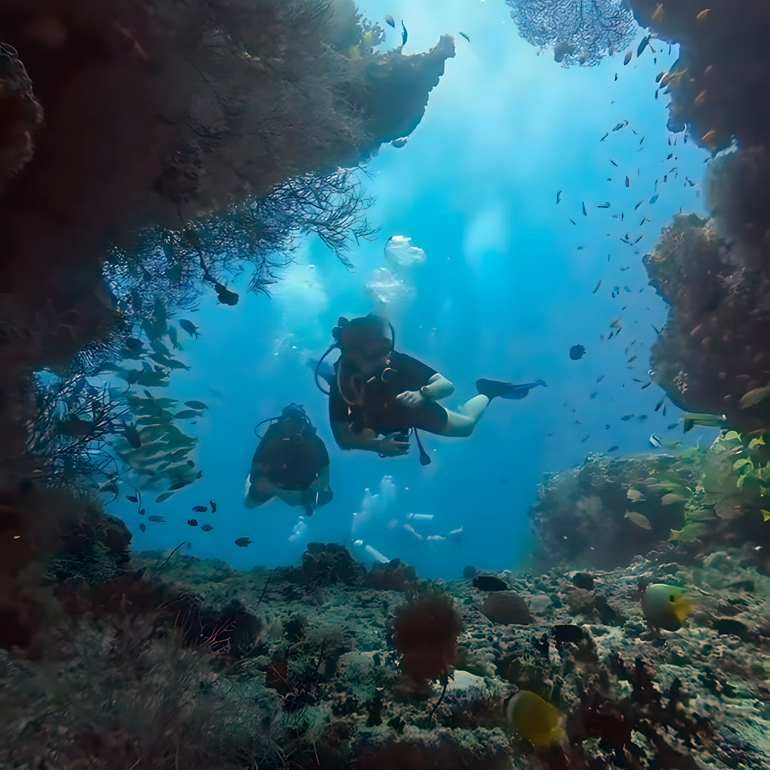 Discovery Dhangethi Scuba Dive