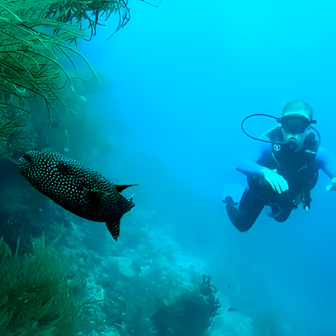 Discovery Dive in Fuvahmulah