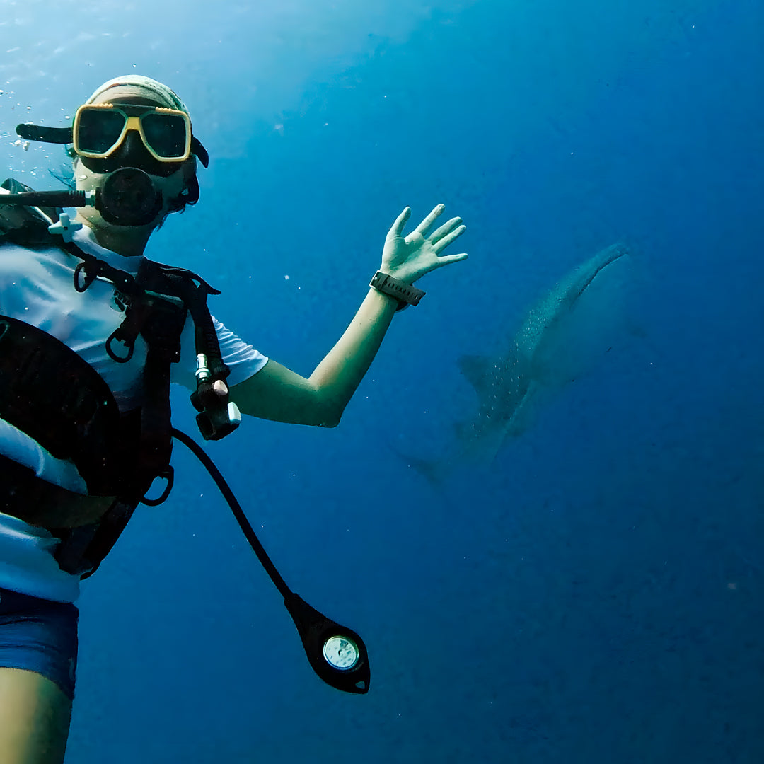 Discovery Dhangethi Scuba Dive