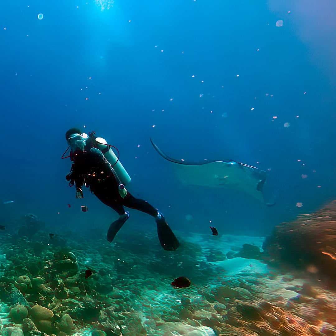 Basic Dhangethi Fun Dive