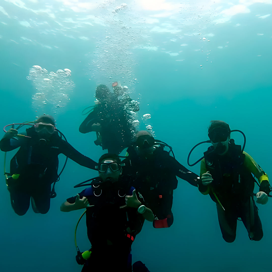 Basic Dhangethi Reef Exploration