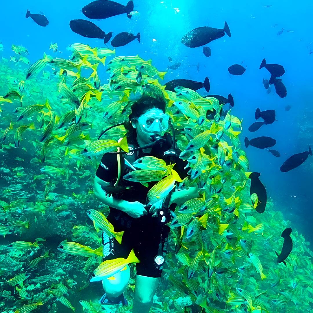 Basic Dhangethi Reef Exploration